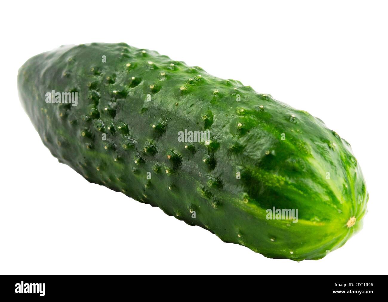 Fresh cucumber on a white background isolate Stock Photo