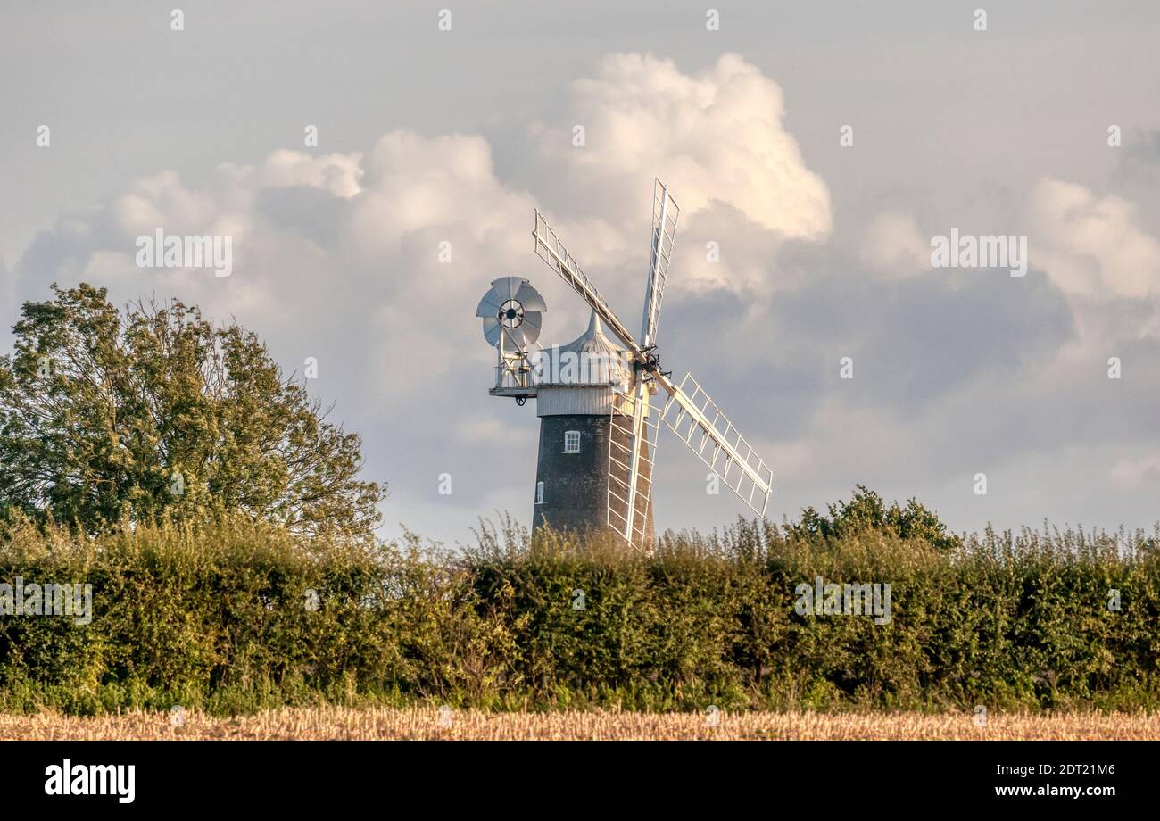 Great Bircham windmill.  A working tower mill in north west Norfolk. Stock Photo