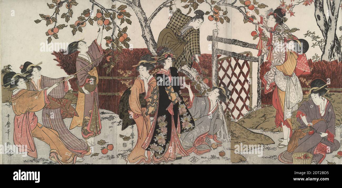 Artist: Kitagawa Utamaro, Japanese, 1753–1806, Persimmon Gatherers, ca. 1803, Ukiyo-e triptych: polychrome woodblock prints, sheet: 14 1/8 × 29 in. (35.9 × 73.7 cm), Japan, Japanese, Edo period (1615–1868), Works on Paper - Prints Stock Photo