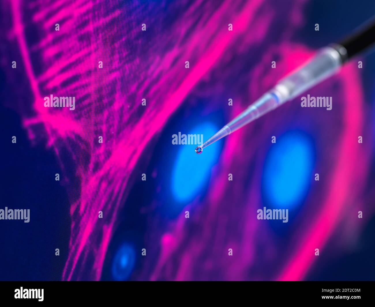 Cell research, Scientist pipetting samples into a multi well plate Stock Photo