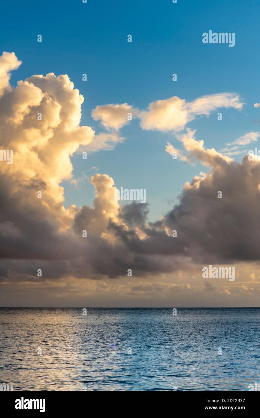 Gallery image with a fresh perspective