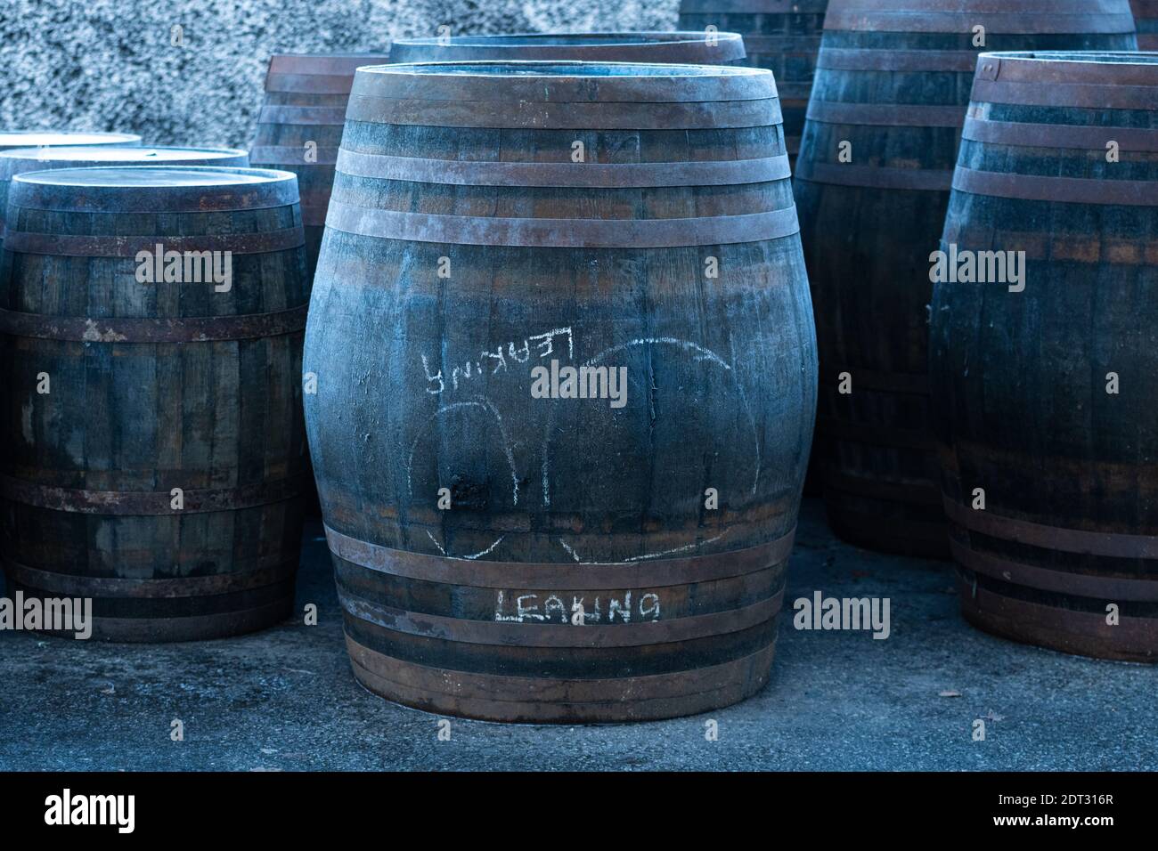 Large leaking whisky barrel marked ready for repair - Scotland, UK Stock Photo