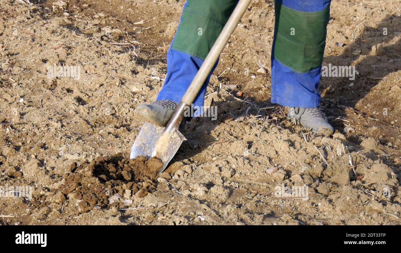 Low Section Of Man Digging In Mud Stock Photo Alamy