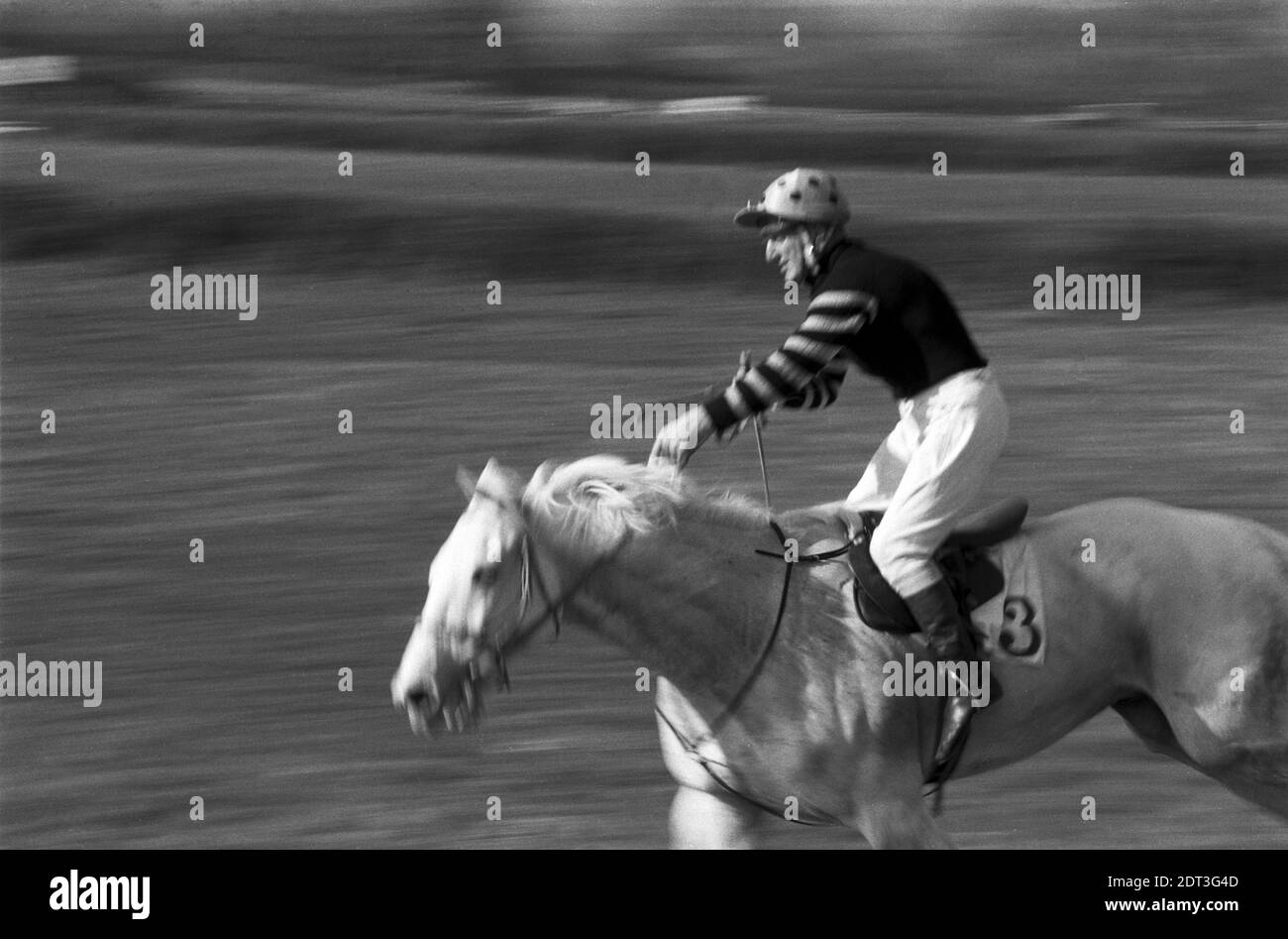 UK, England, Devonshire, Buckfastleigh, 1972. Point-to-Point races were held at  Dean Court on the Dean Marshes, close to the A38 between Plymouth and Exeter. A competing rider. Stock Photo