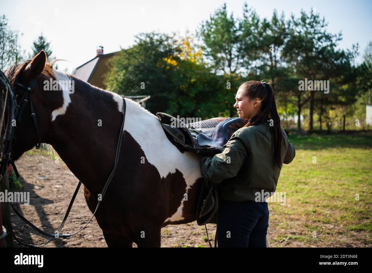 A girl removes a saddle from the back of a horse near a stable on a farm. Stock Photo