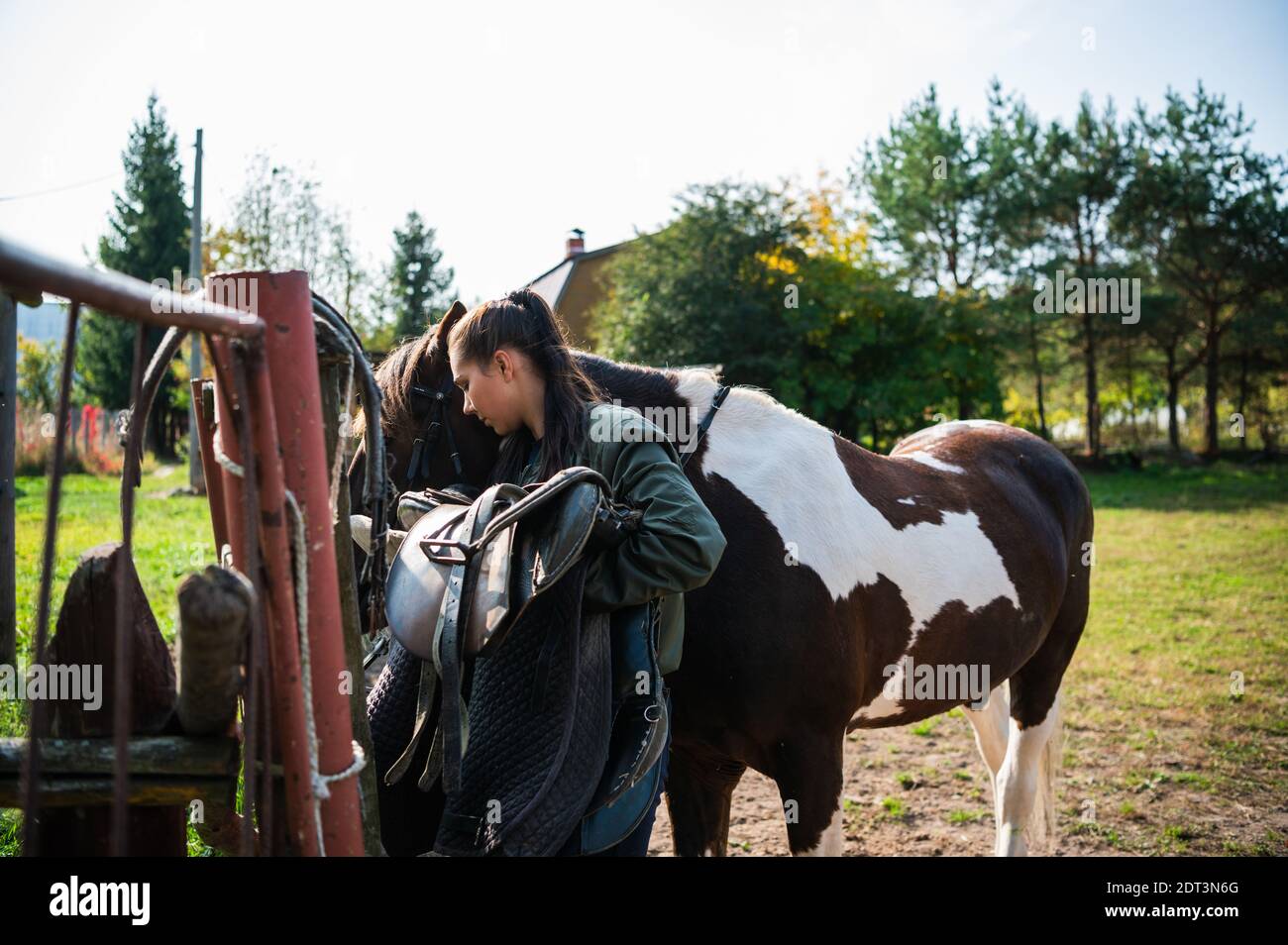 After a ride, the jockey unsaddles the horse next to the fence at the ranch. Stock Photo