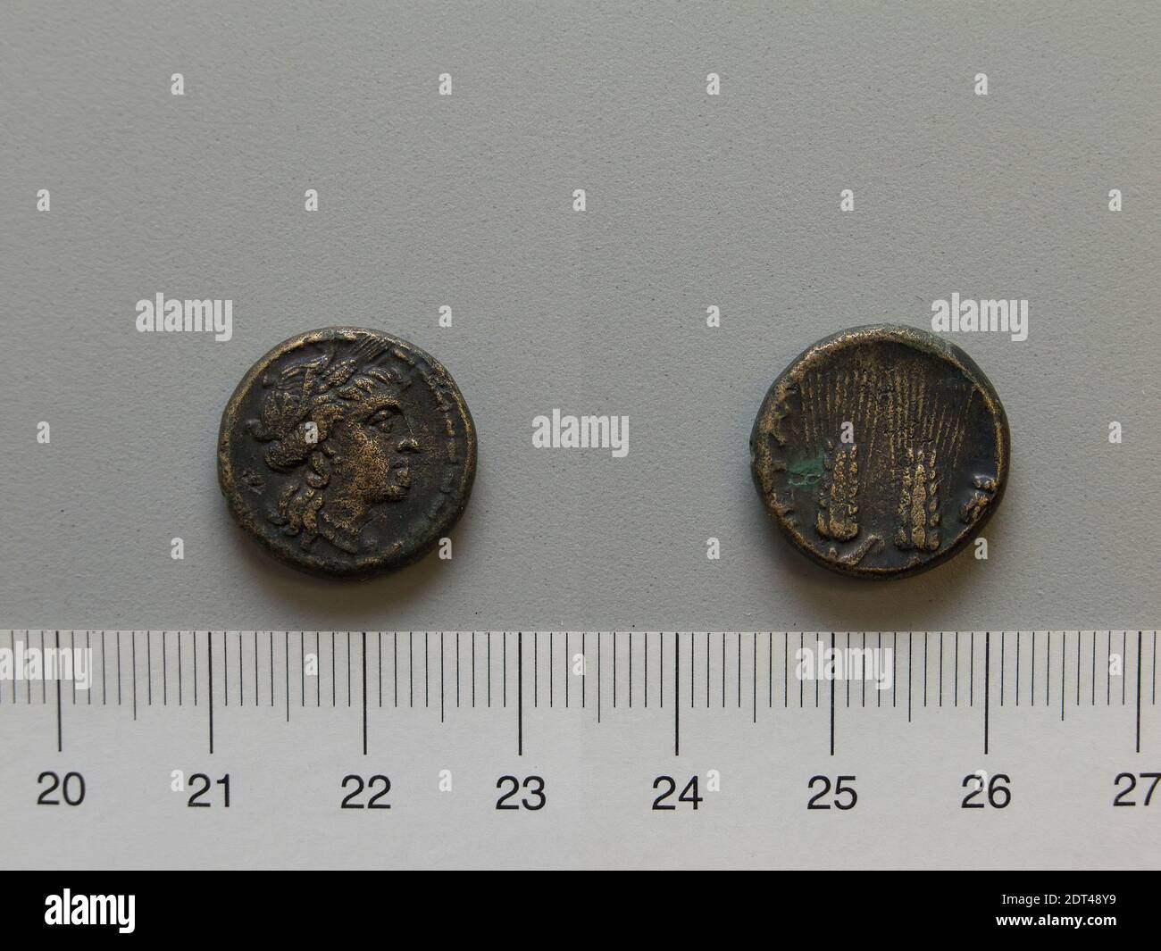 Mint: Metapontum, Fraction from Metapontum, 250–200 B.C., Bronze, 4.85 g, 7:00, 17 mm, Made in Metapontum, Lucania, Greek, 3rd century B.C., Numismatics Stock Photo