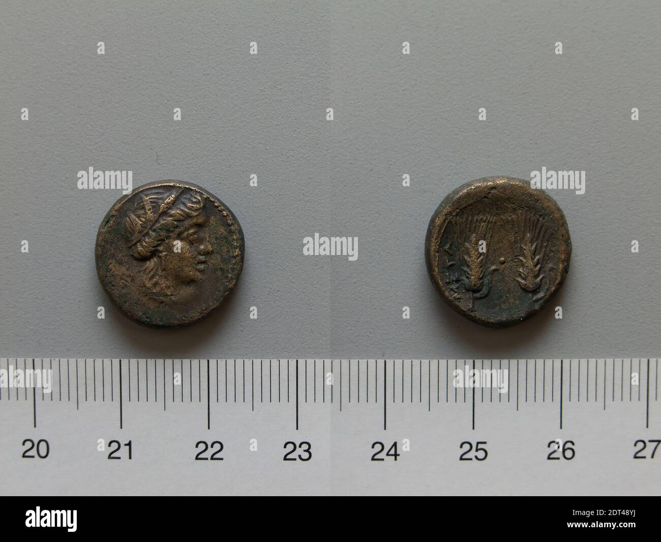 Mint: Metapontum, Fraction from Metapontum, 250–200 B.C., Bronze, 5.51 g, 4:00, 17 mm, Made in Metapontum, Lucania, Greek, 3rd century B.C., Numismatics Stock Photo
