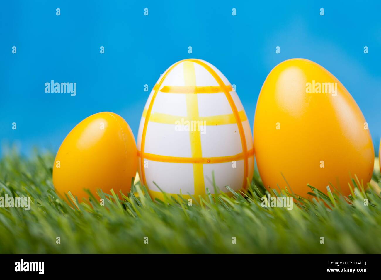 easter eggs in green grass Stock Photo - Alamy