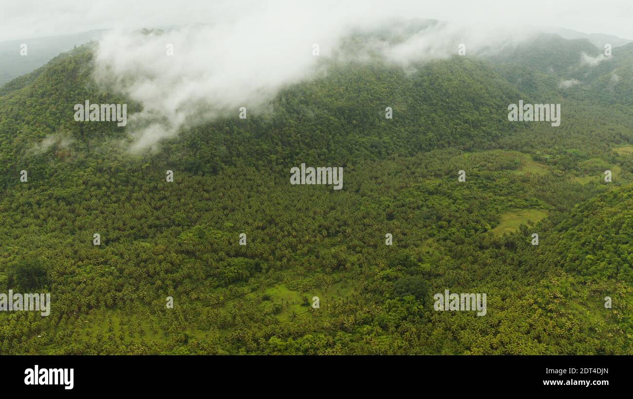 Top view green island tropical hi-res stock photography and images - Alamy