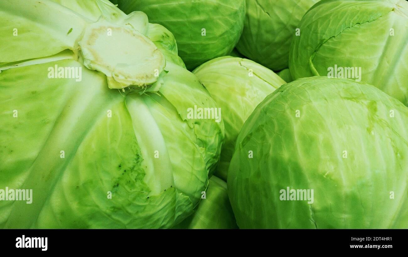 closeup of the fresh cabbages Stock Photo