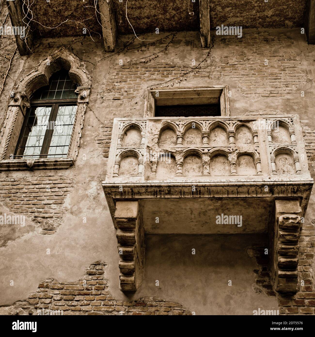 My Image 24