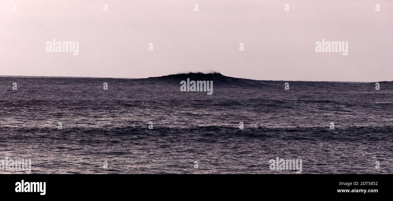 Dead Swell High Resolution Stock Photography and Images - Alamy