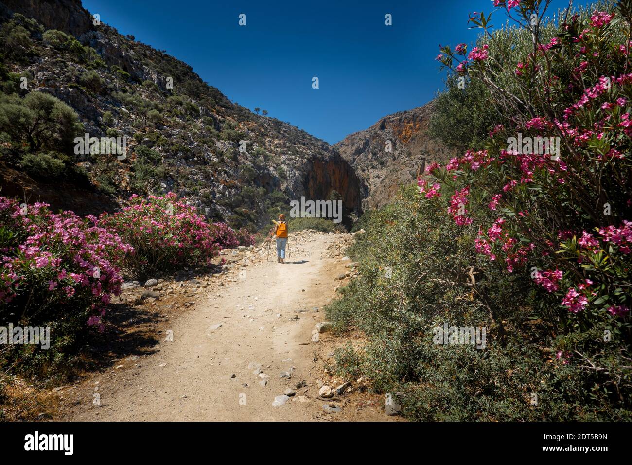 Rear view of young woman walking toward mountain Stock Photo - Alamy