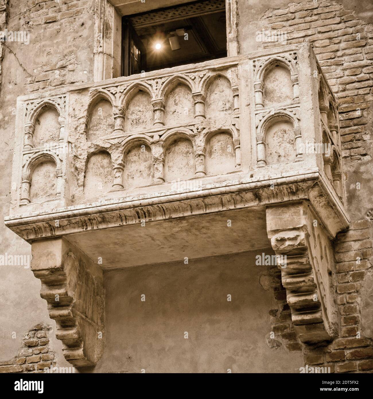 My Image 16