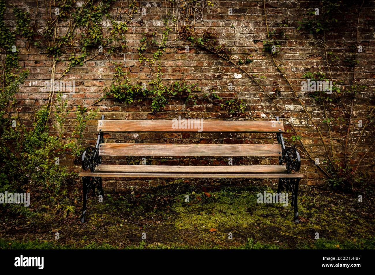 Old style wooden bench and red brick wall in the park Stock Photo