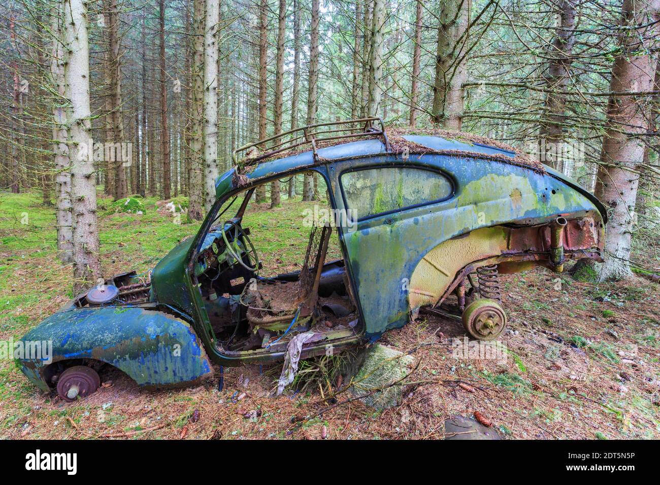 Abandoned junk car in woods hi-res stock photography and images - Alamy