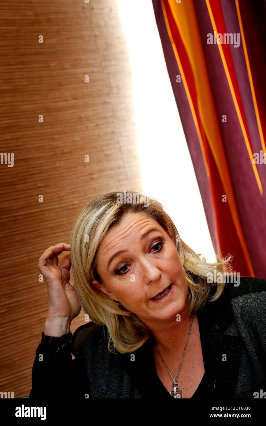 Far-right Front National (FN) president Marine Le Pen takes part in a meeting to support FN's candidate for Bordeaux's March 2014 mayoral elections Jacques Colombier in Bordeaux, France, on February 1, 2014. Photo by Patrick Bernard/ABACAPRESS.COM Stock Photo
