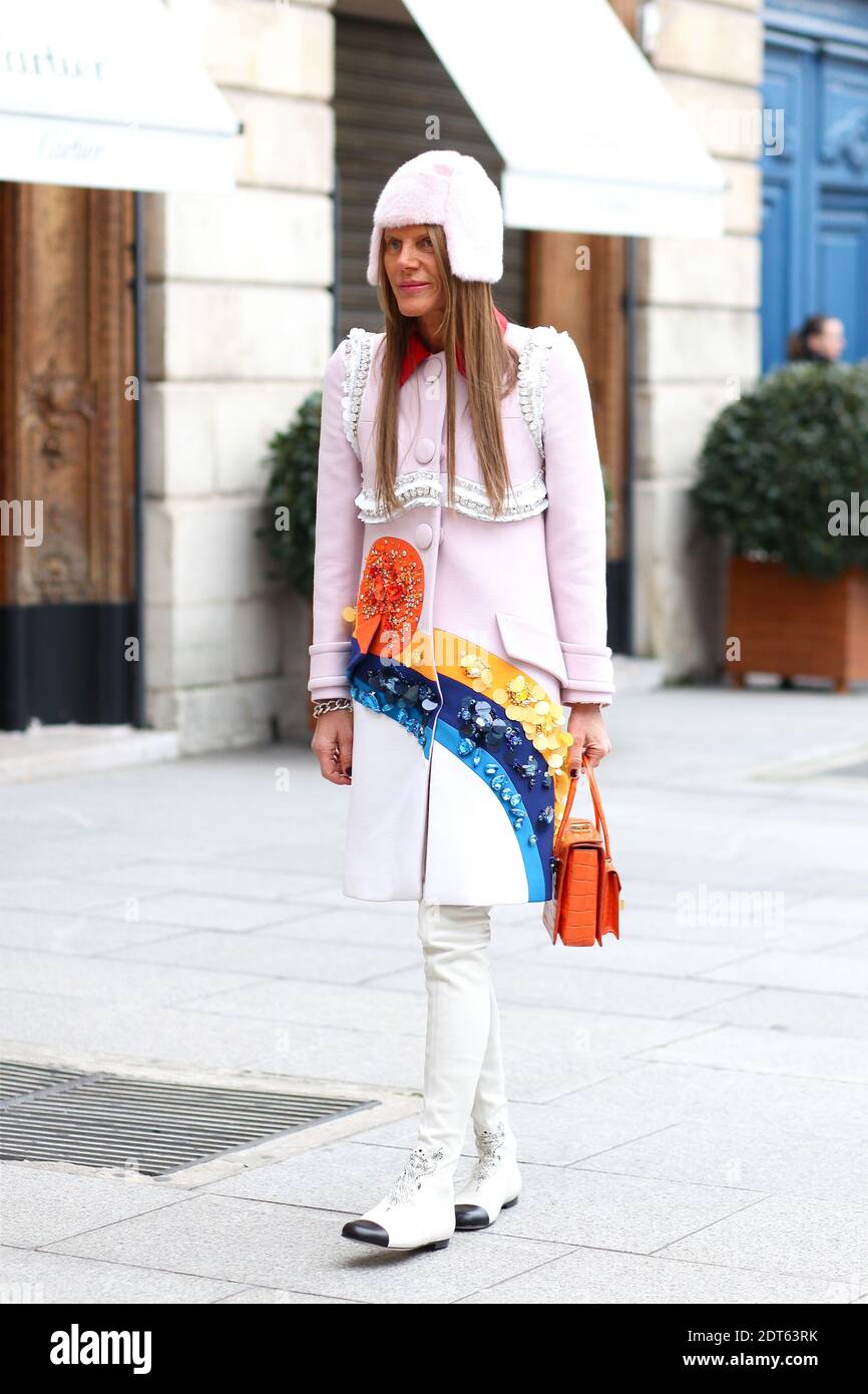 Anna Dello Russo arriving for the Schiaparelli Spring/Summer 2014  Haute-Couture show, held at Place Vendome, in Paris, France on January  20th, 2014. She is wearing Prada coat, Chanel hat and boots. Photo