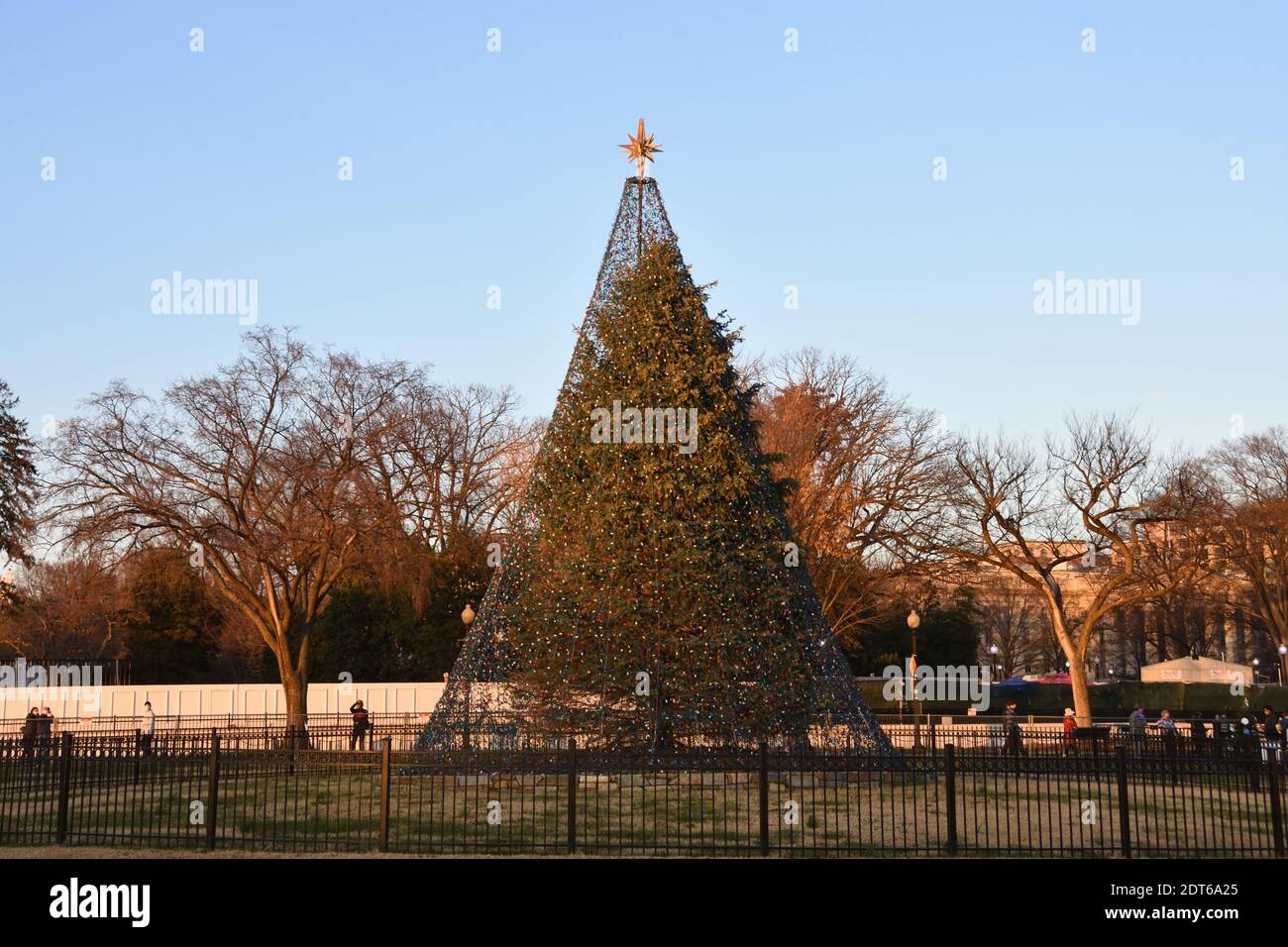 Christmas 2020. National Christmas Tree on the Ellipse at the south of White House in Washington DC, USA. Stock Photo