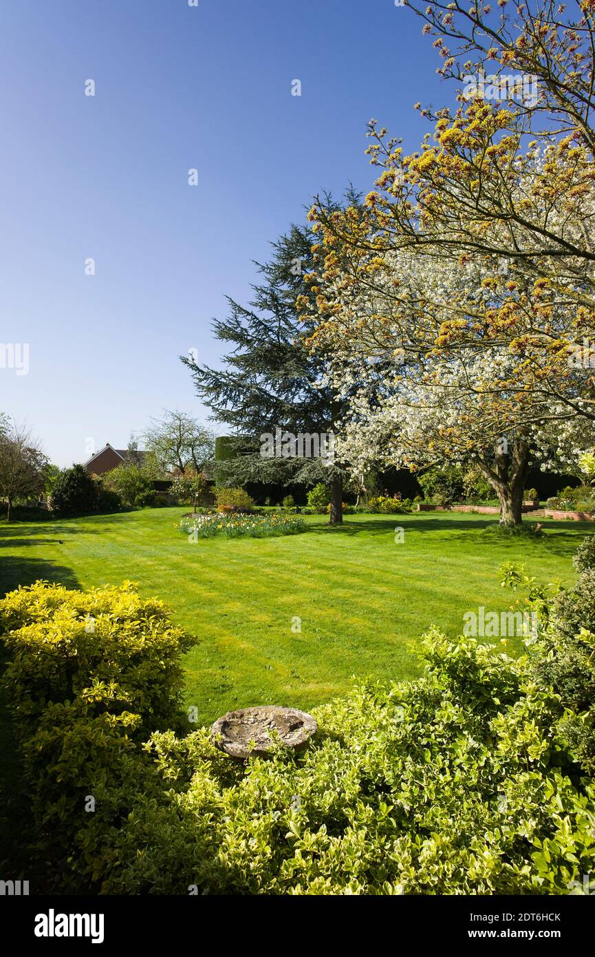 Landscape view across a gree mown lawn in Spring in an English garden in UK Stock Photo