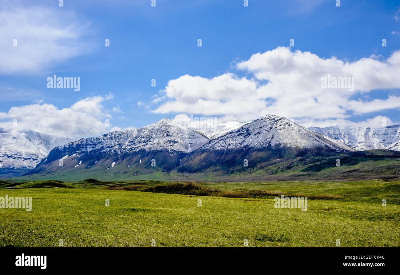 Snow line on mountains ending at prairie grass under blue sky and clouds, near Waterton Lakes, Alberta, Canada. Stock Photo