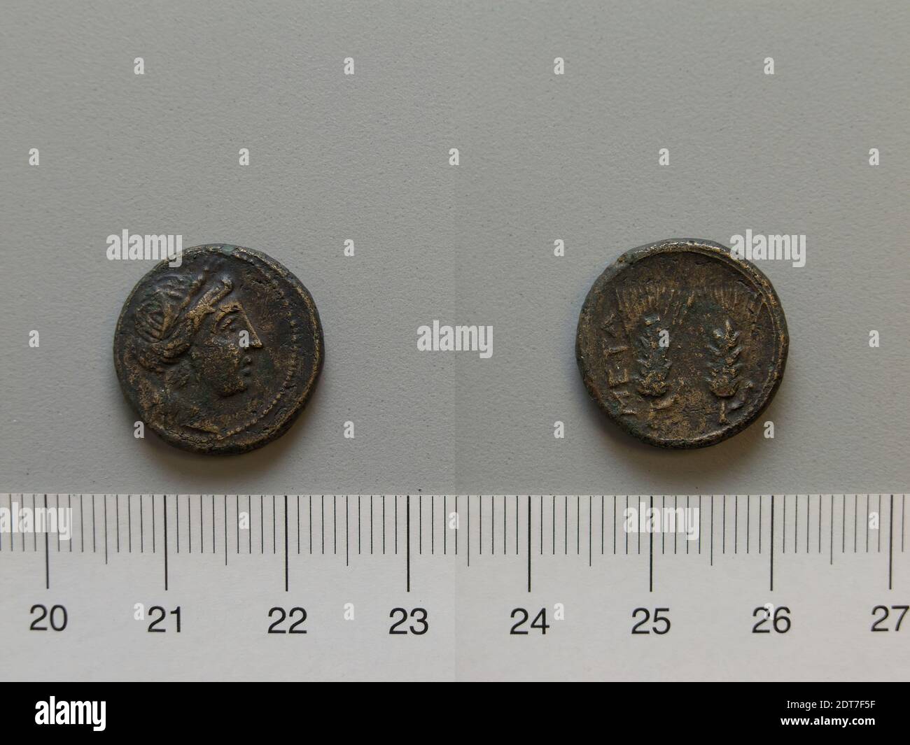 Mint: Metapontum, Fraction from Metapontum, 250–200 B.C., Bronze, 4.40 g, 8:00, 17 mm, Made in Metapontum, Lucania, Greek, 3rd century B.C., Numismatics Stock Photo