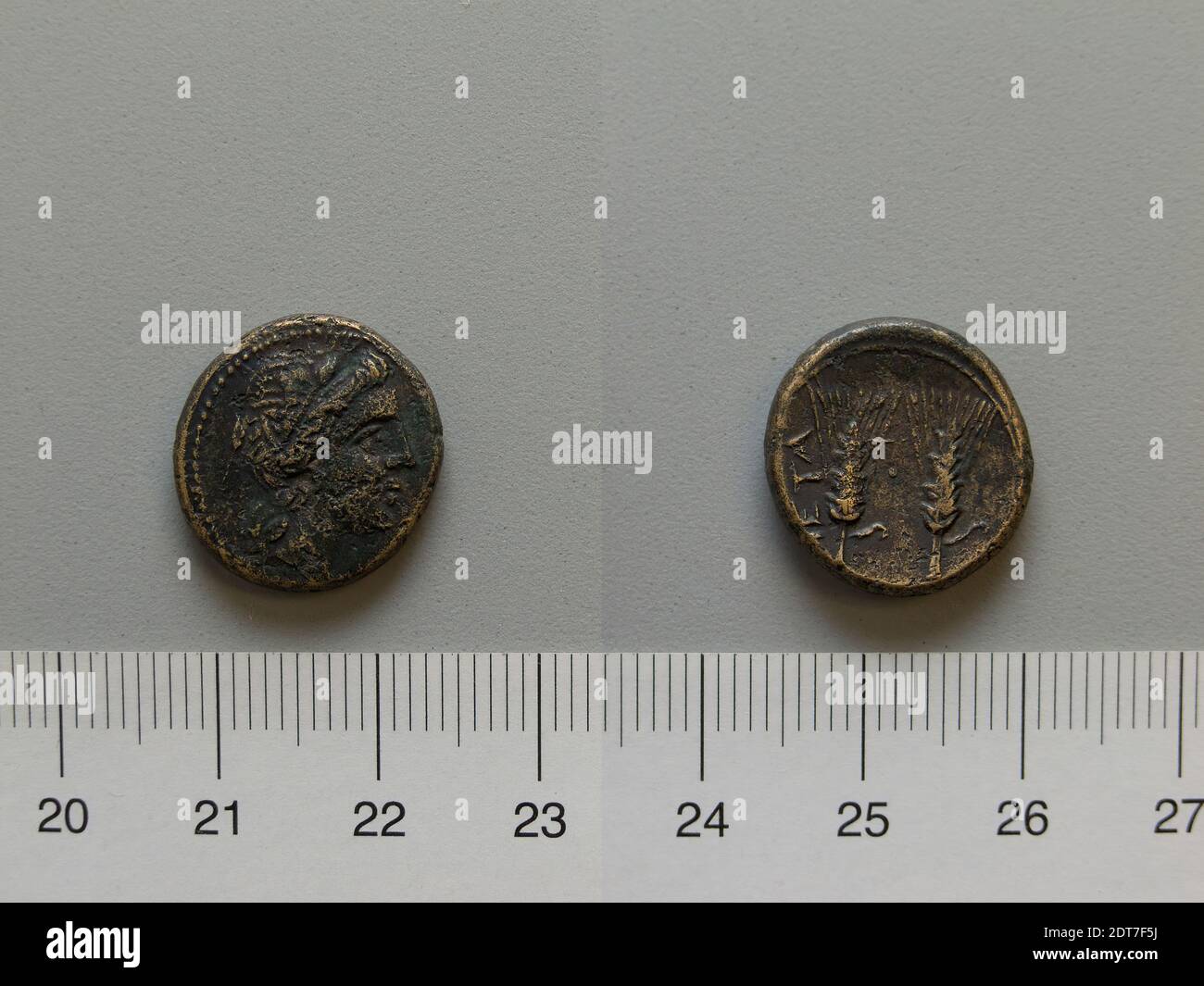 Mint: Metapontum, Fraction from Metapontum, 250–200 B.C., Bronze, 4.67 g, 17.5 mm, Made in Metapontum, Lucania, Greek, 3rd century B.C., Numismatics Stock Photo