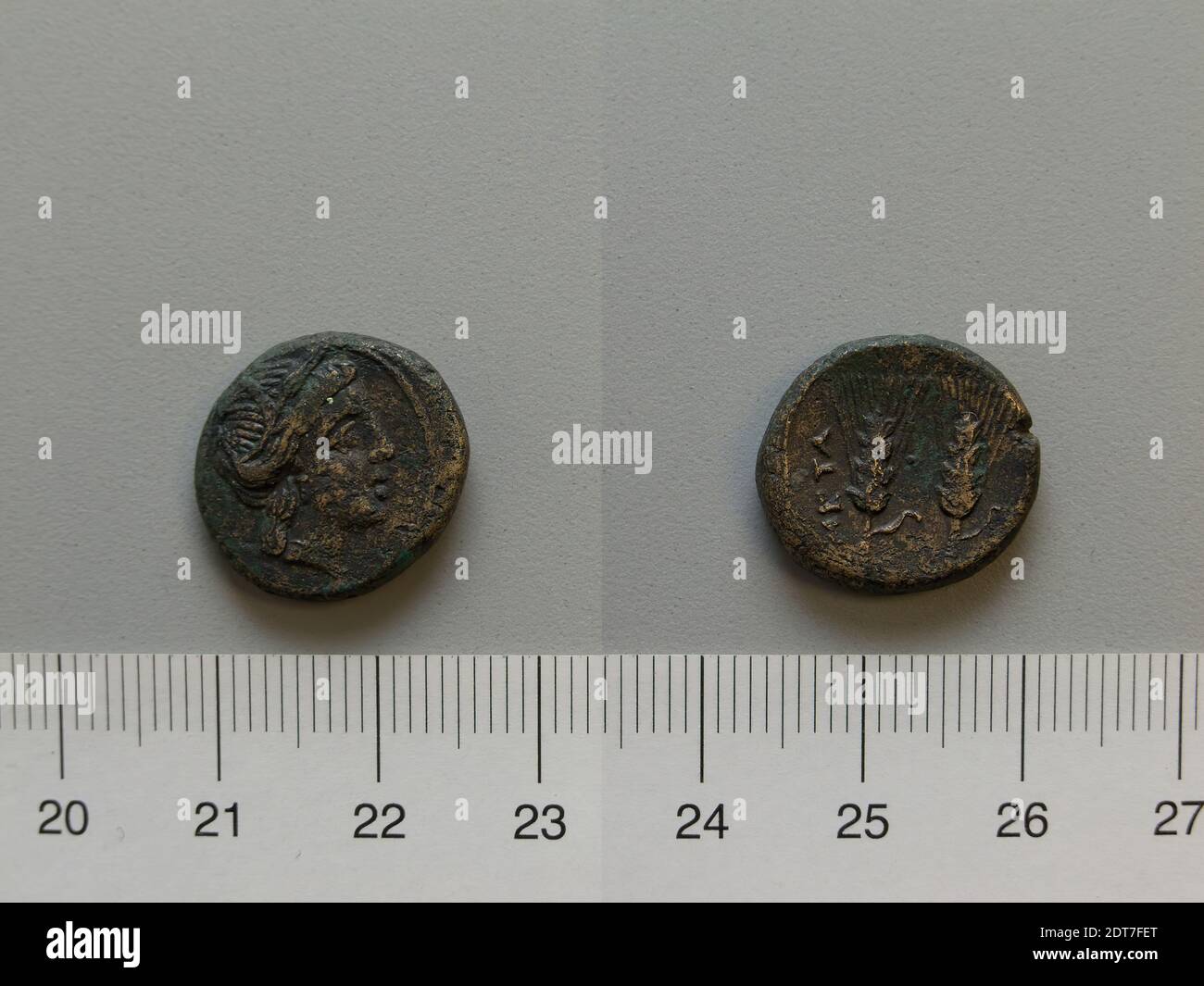 Mint: Metapontum, Fraction from Metapontum, 250–200 B.C., Bronze, 4.93 g, 1:00, 17.5 mm, Made in Metapontum, Lucania, Greek, 3rd century B.C., Numismatics Stock Photo
