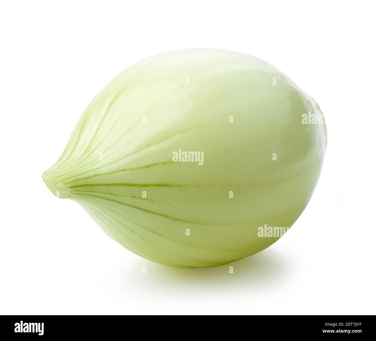 fresh raw peeled onion isolated on white background Stock Photo - Alamy