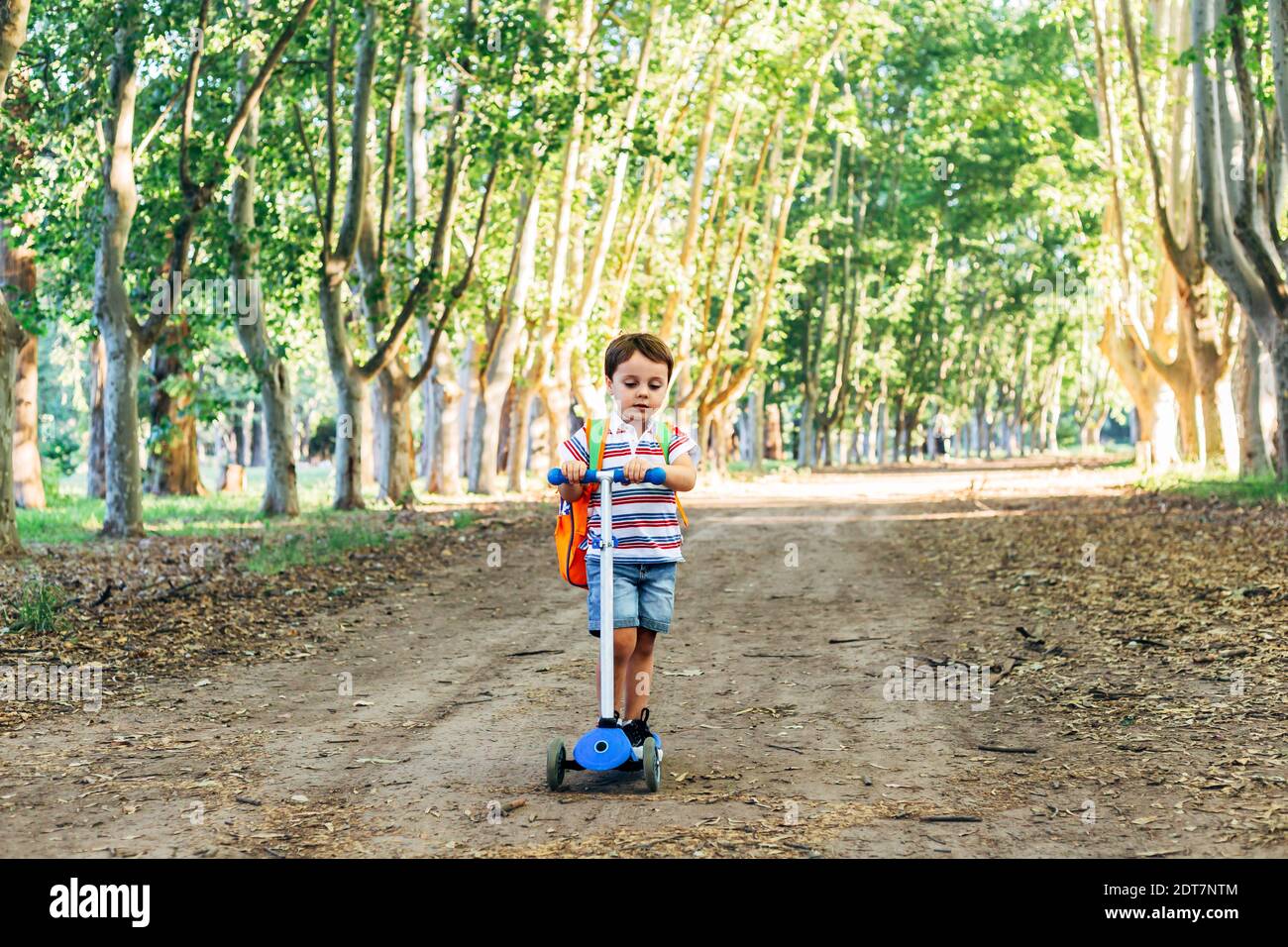 Smiling child on kick scooter in the countryside. Outdoor activity for children on safe rural street. Kids learn to skate roller board. Little boy wit Stock Photo