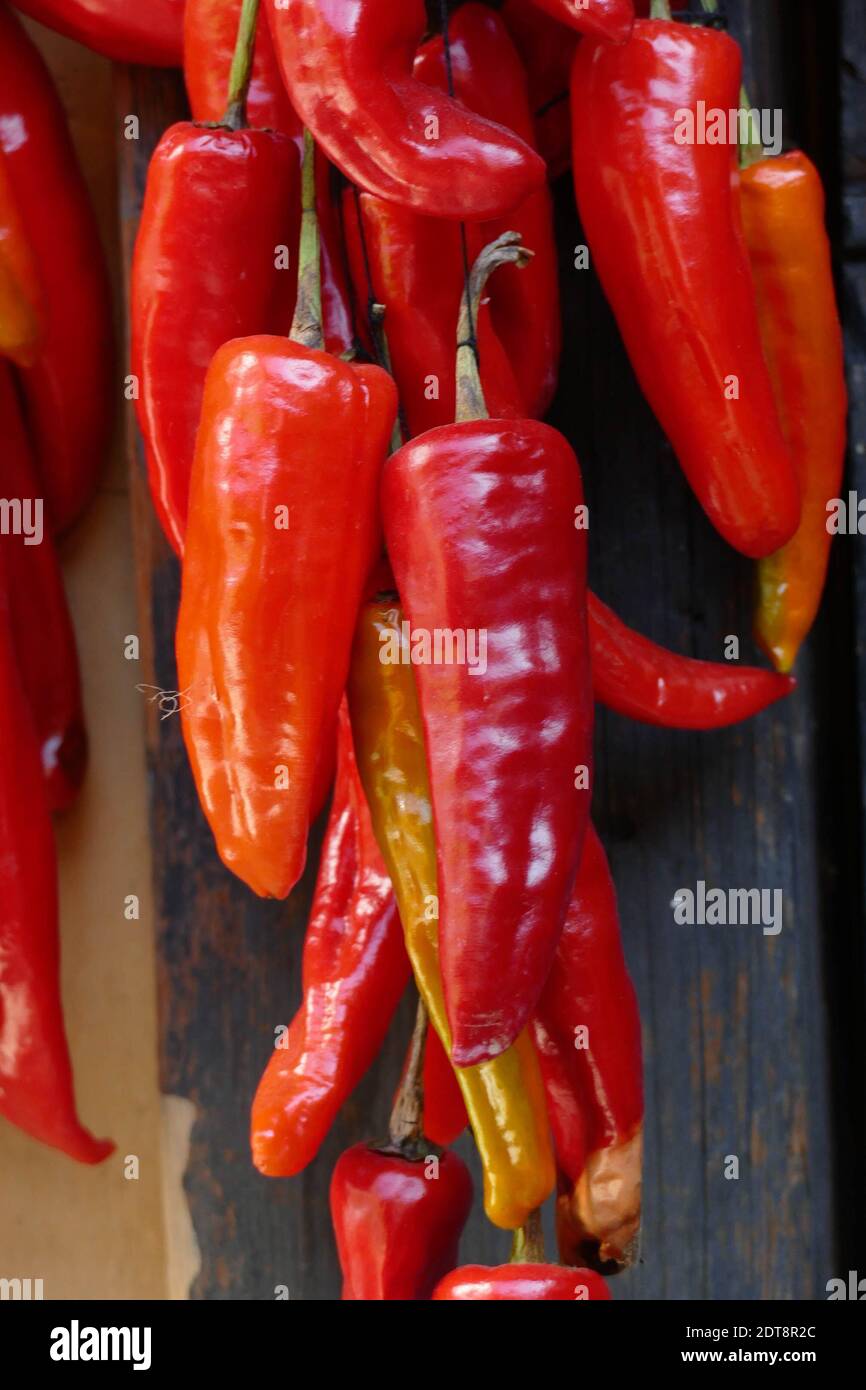 Dried red chili peppers hang on a wall in Thimphu, Bhutan Stock Photo ...