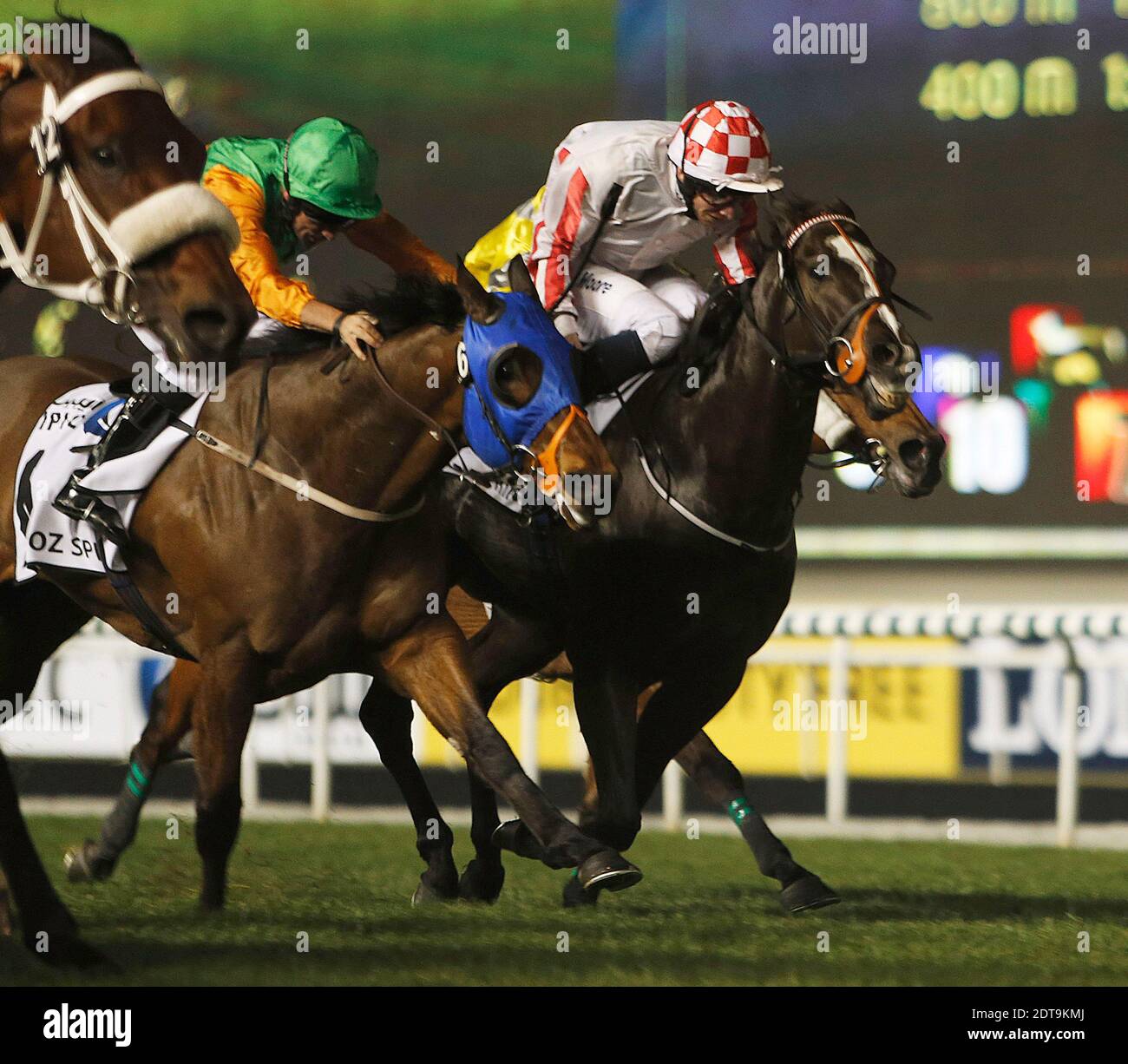 Joao Moreira High Resolution Stock Photography And Images Alamy Joao Moreira High Resolution Stock Photography And Images Alamy