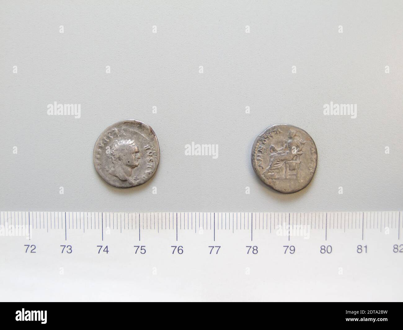 Bulletin of the British Museum (Natural History), Geology. 162 SMITH, PAUL,  GALE & DONOVAN Description. SHAPE AND SIZE. The specimens available for  study range 36-60 mm in length (mean = 47mm;