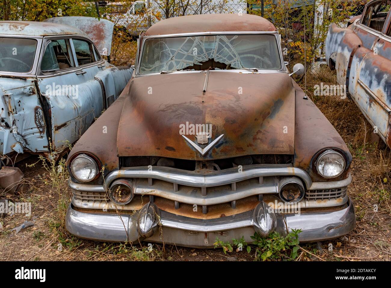 liquidation of an Albuquerque, New Mexico auto junkyard Stock Photo Alamy