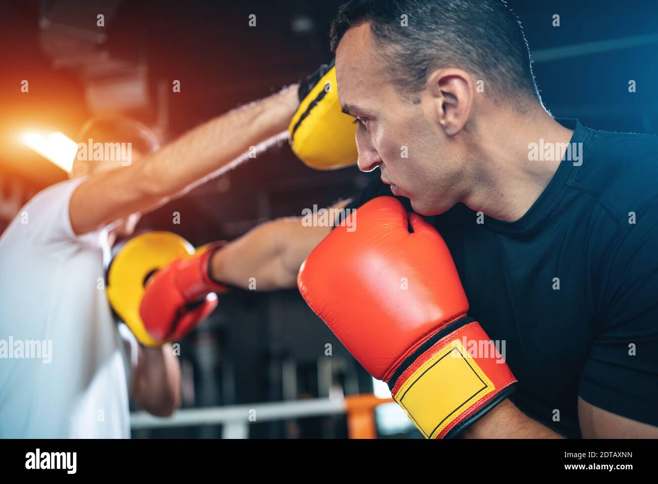 two muscle boxers sport man training and fighting on boxing ring at gym