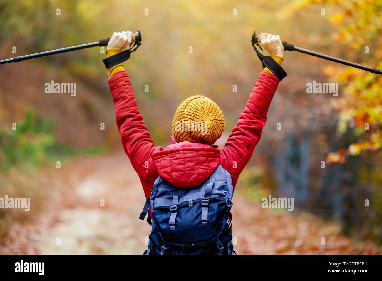 Hiking girl with poles and backpack on a trail. Backview. Hands up enjoying in nature. Travel and healthy lifestyle outdoors in fall season. Stock Photo