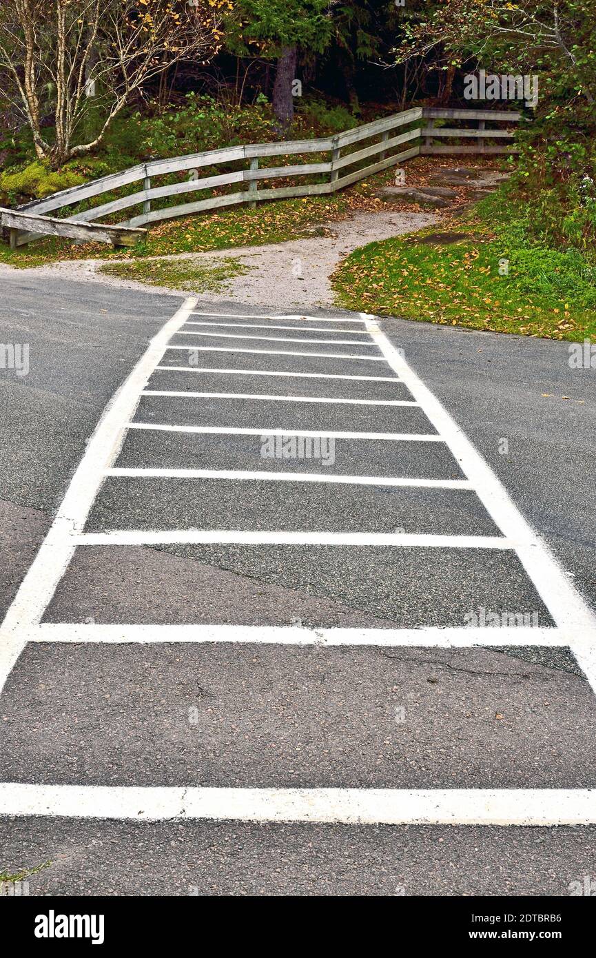 A painted crosswalk crossing the 2 lane highway in Fundy National Park New Brunswick Canada. Stock Photo