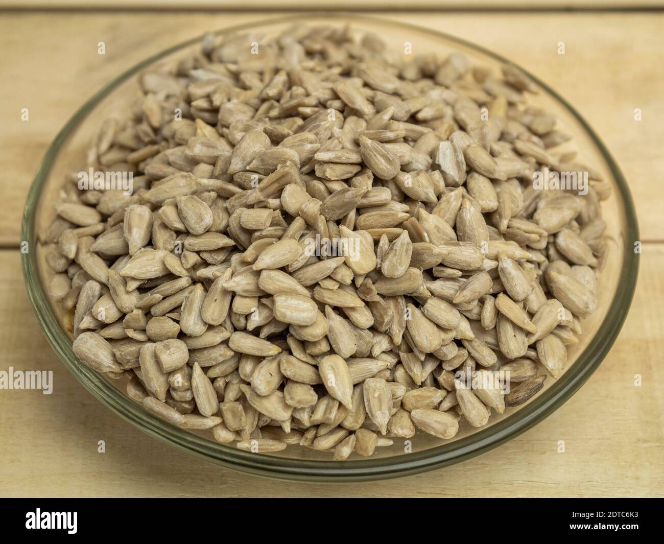 Insert and sunflower hi-res stock photography and images - Alamy