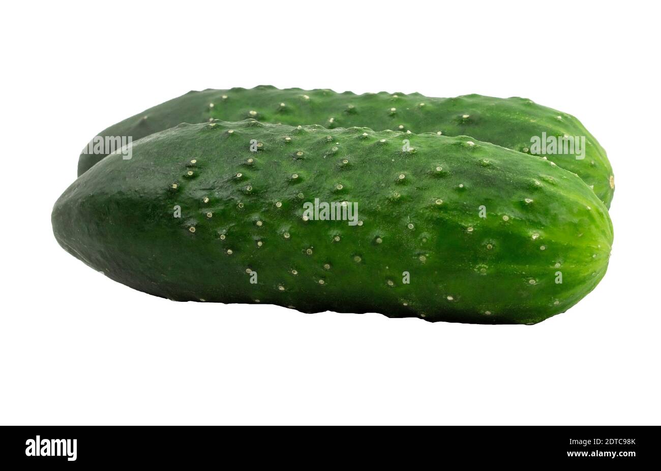 Two fresh cucumbers on a white background isolate Stock Photo