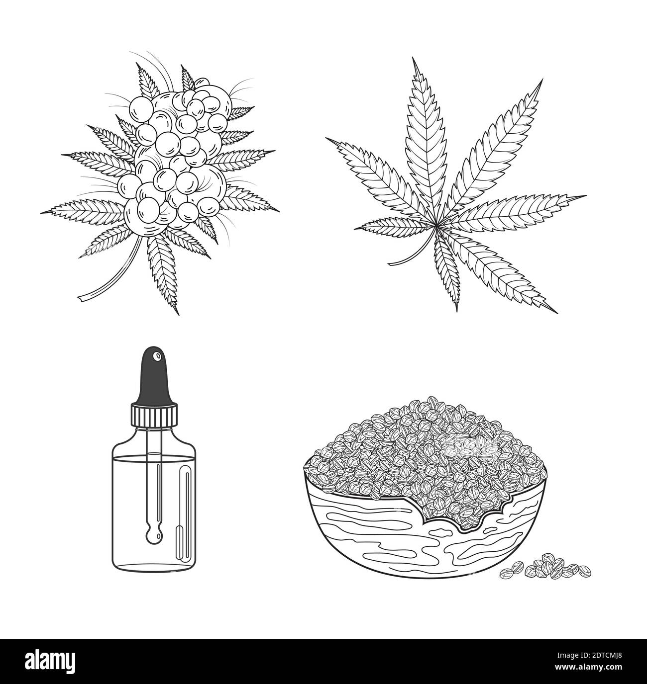 Marijuana or cannabis set hemp leaf, seeds, oil, cones and inflorescence. Vector illustration