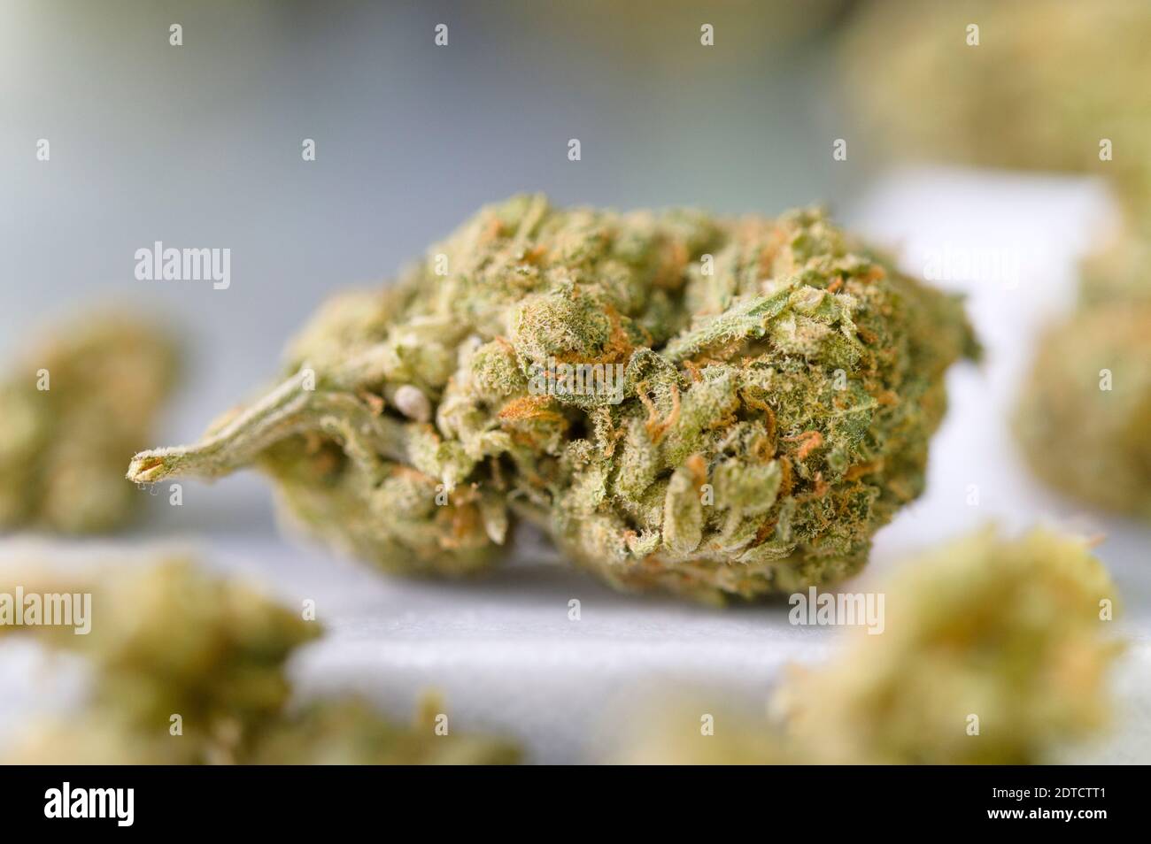 Close-up of cannabis buds Stock Photo