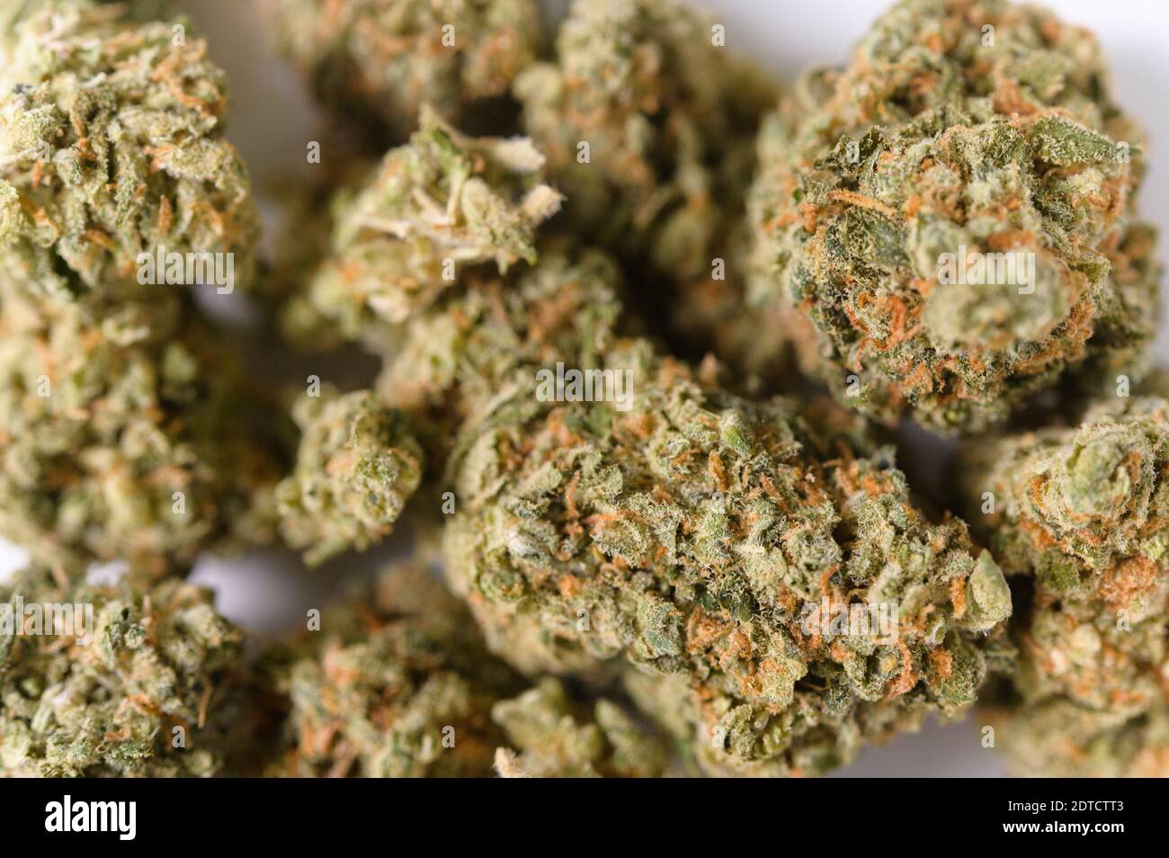 Close-up of cannabis buds Stock Photo
