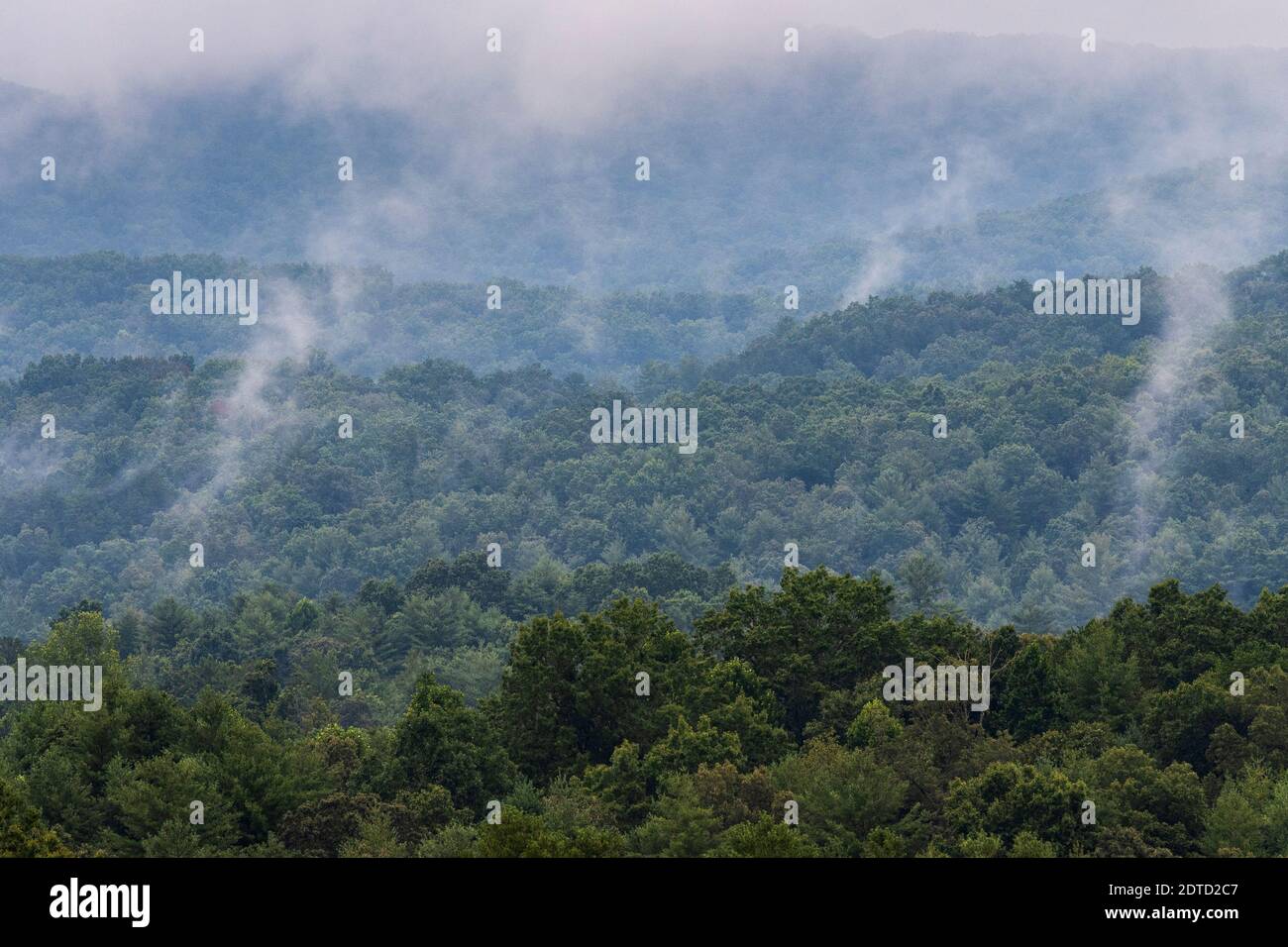 MORNING MIST RISES FROM THE FOREST, BLUE RIDGE MOUNTAINS, GA, USA Stock Photo