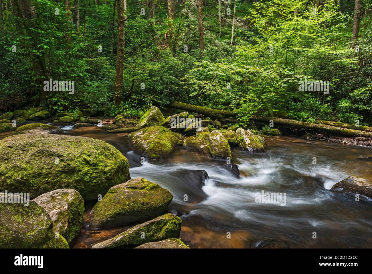 Chester creek hires stock photography and images Alamy