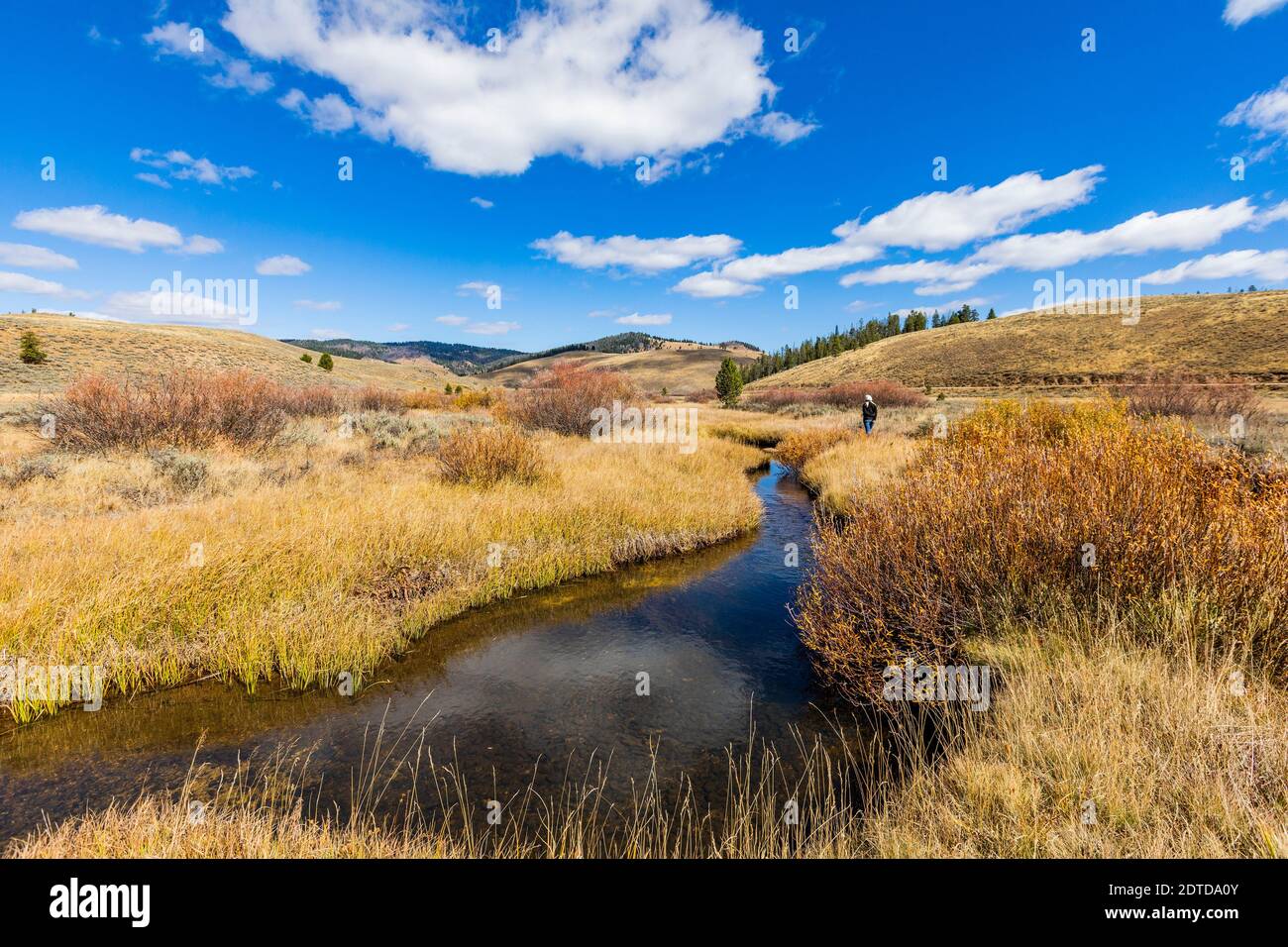 USA, Idaho, Stanley, Senior woman walking by stream among grass in non urban landscape Stock Photo