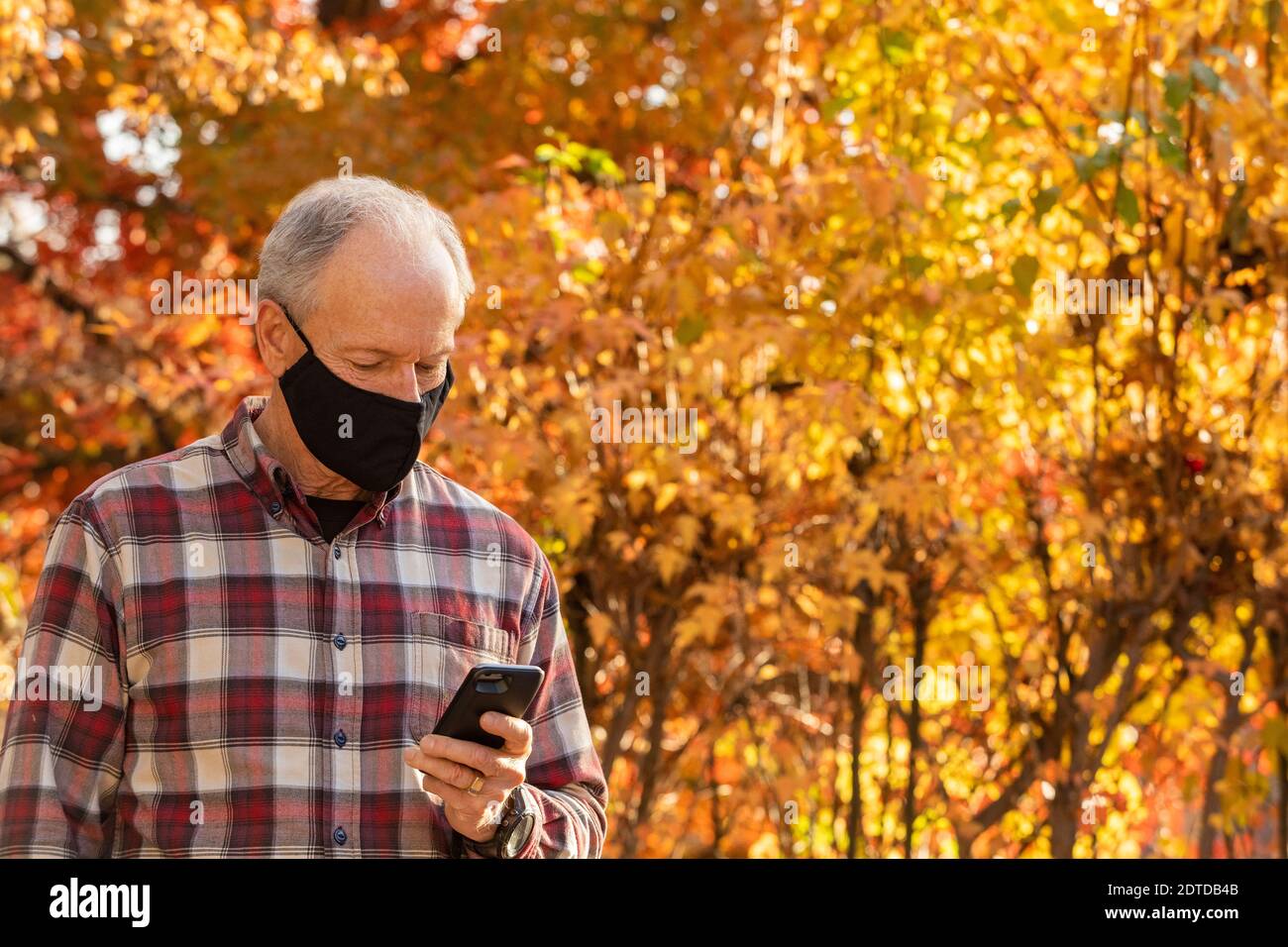 Senior man wearing Covid protective mask using smartphone outdoors in fall Stock Photo