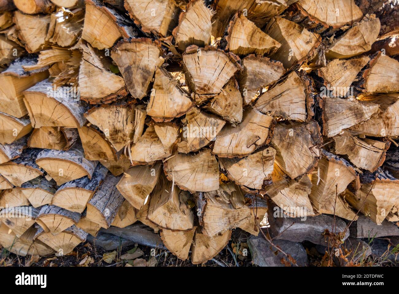 Stack of firewood Stock Photo