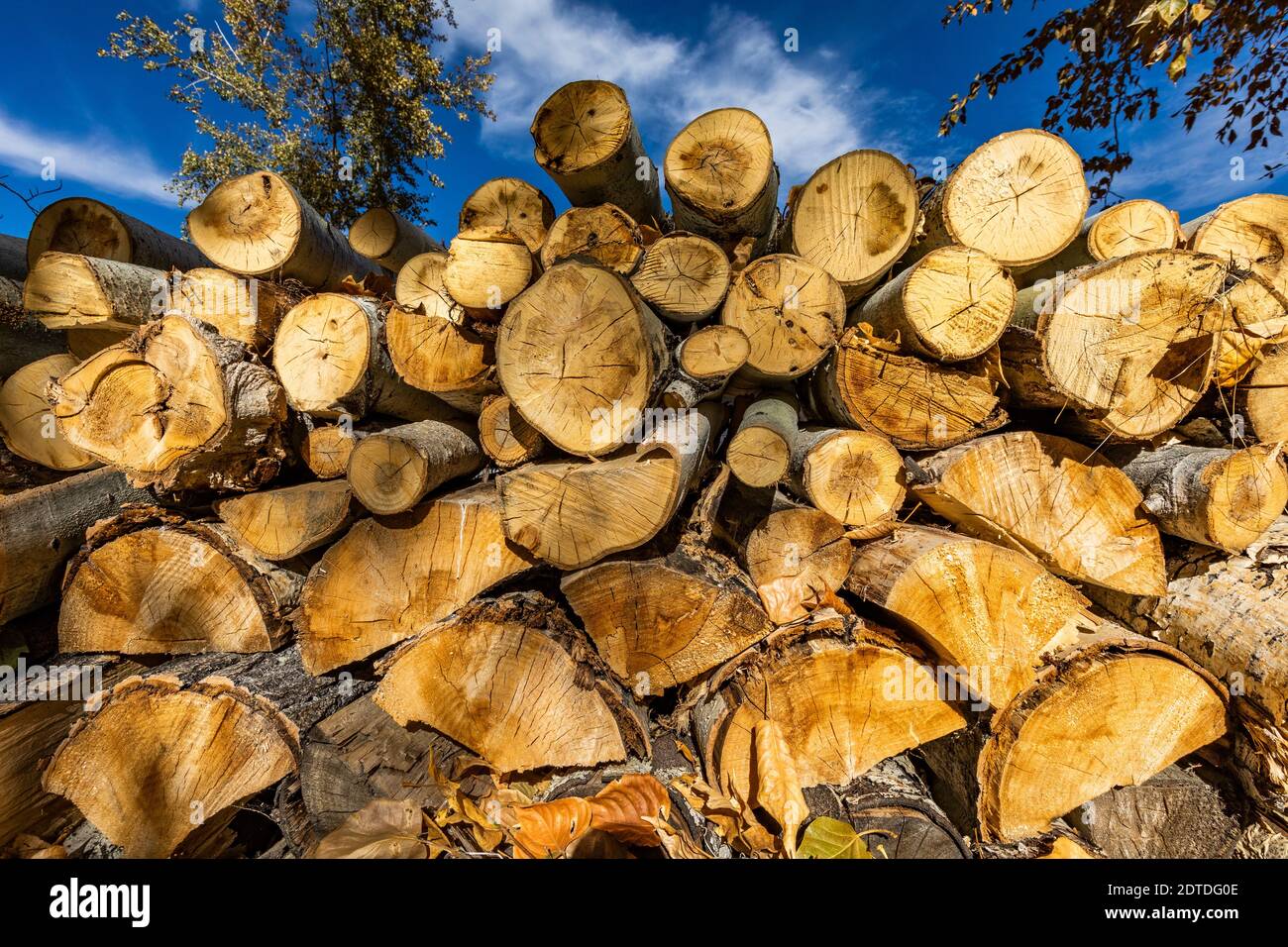 Stack of firewood Stock Photo Alamy