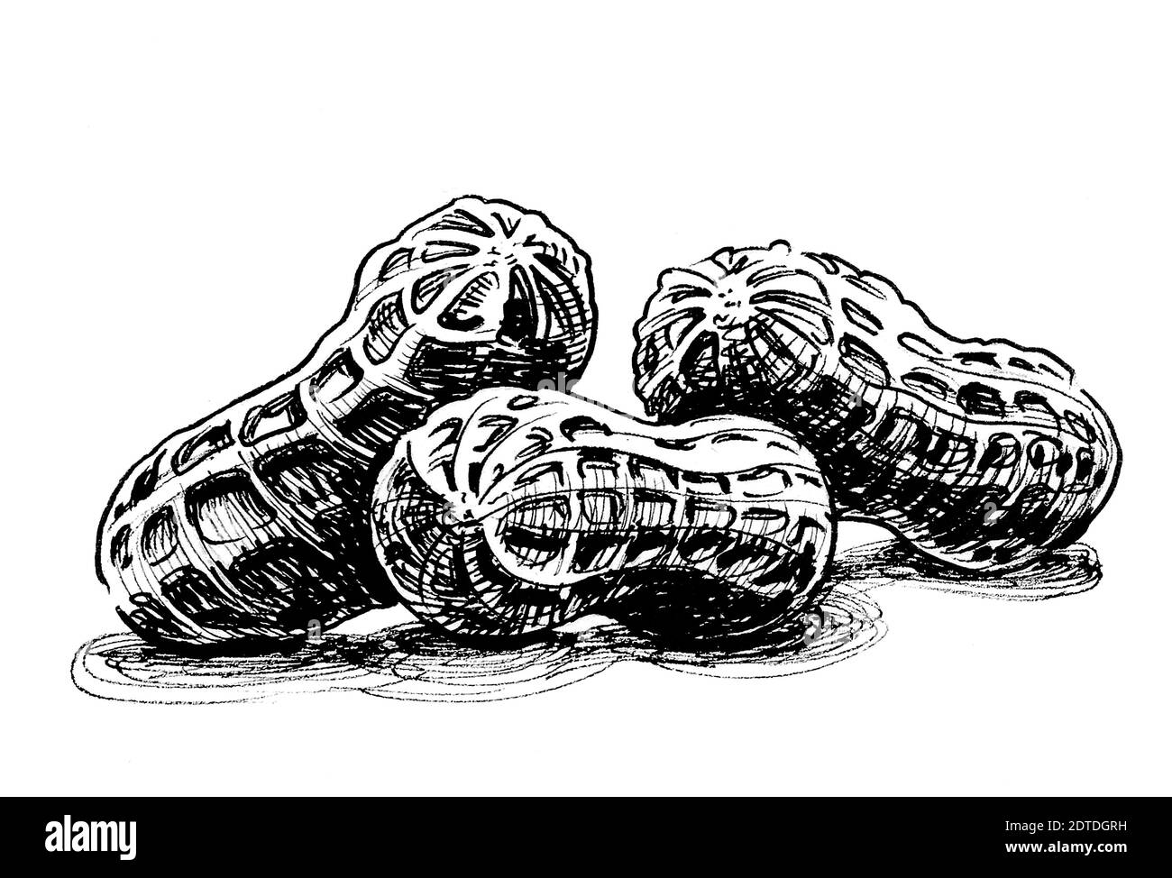 Bunch of peanuts. Ink black and white drawing Stock Photo